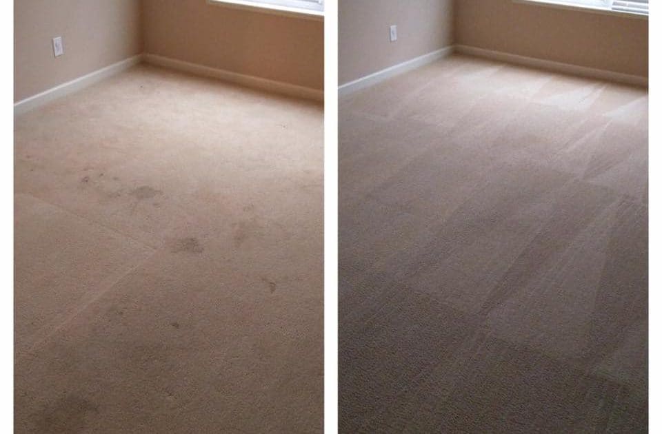 Carpet Cleaner Sarasota