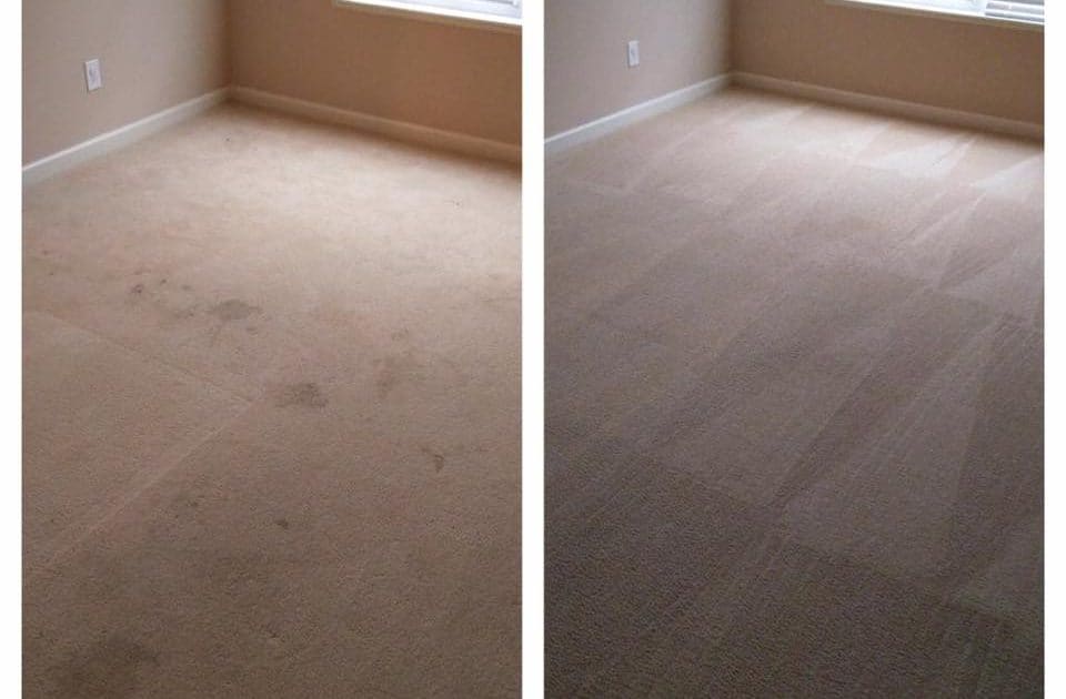 Carpet Cleaning Services