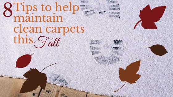 Tips to Keep Carpet, Area Rugs, and Upholstery Clean — That Bald Chick®