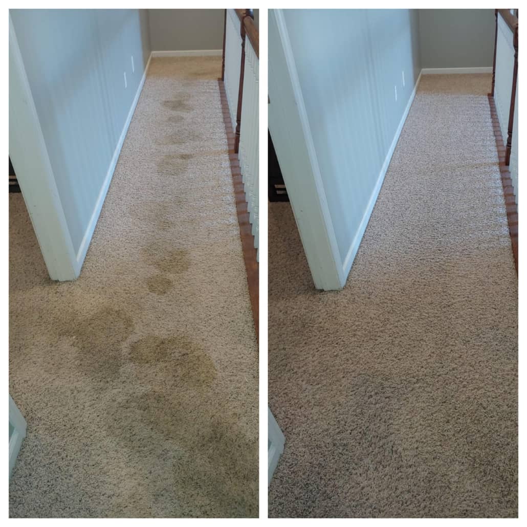1 Topnotch Carpet Cleaning Services In Fishers Indiana