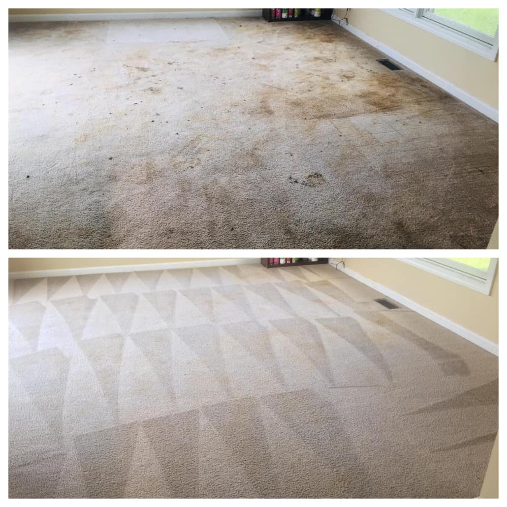 1 Topnotch Carpet Cleaning Services In Fishers Indiana