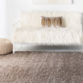 topnotch carpet cleaning